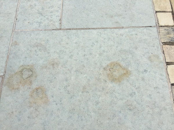 Brown leaf marks on Kota Blue limestone.