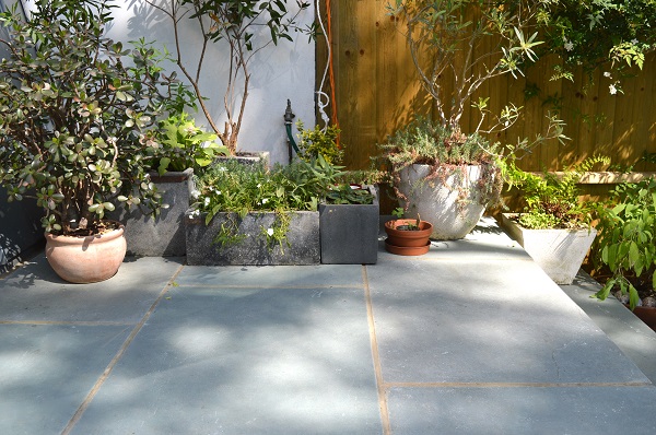 Kota Blue Limestone paving with selection of planted pots against white wall and wood fence.
