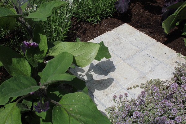 Square of Antique Cream sandstone setts laid in soil,, overshadowed with leaves.