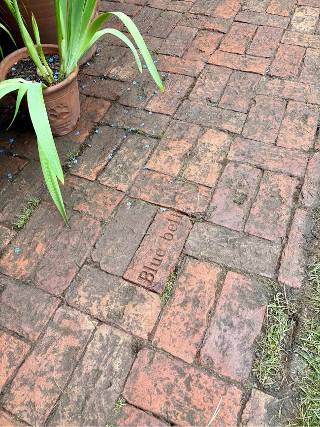 Basketweave brick path with the name Blue bell engraved into a paver