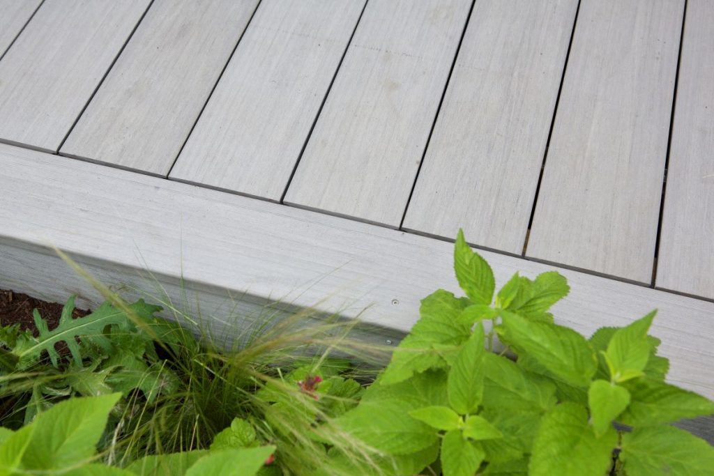 DesignBoard Luna composite decking with greenery.