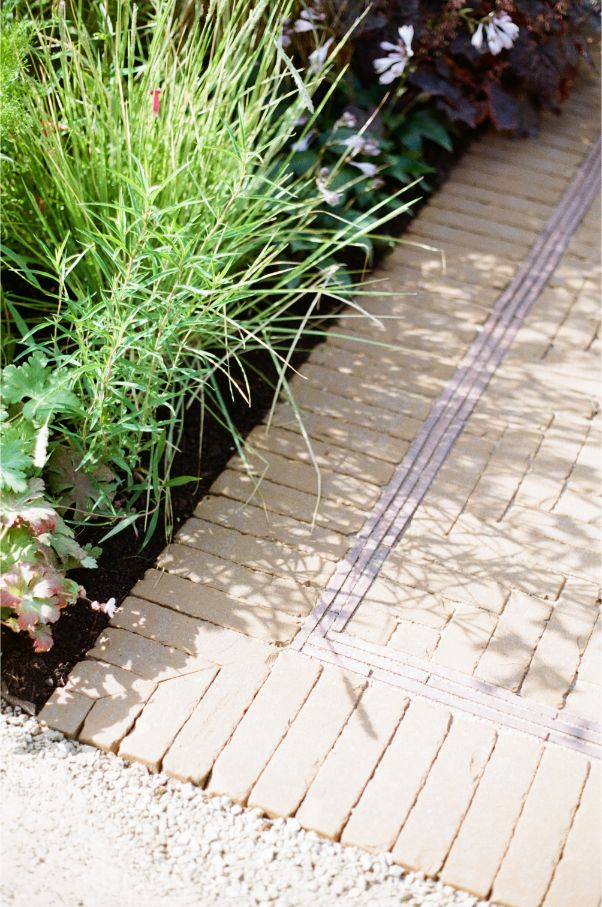 Golden Buff clay pavers laid herringbone with soldier course edge next to planted bed.