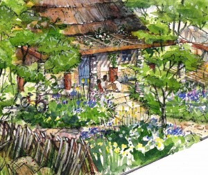 Detail of Sentebale garden by Matt Keightley