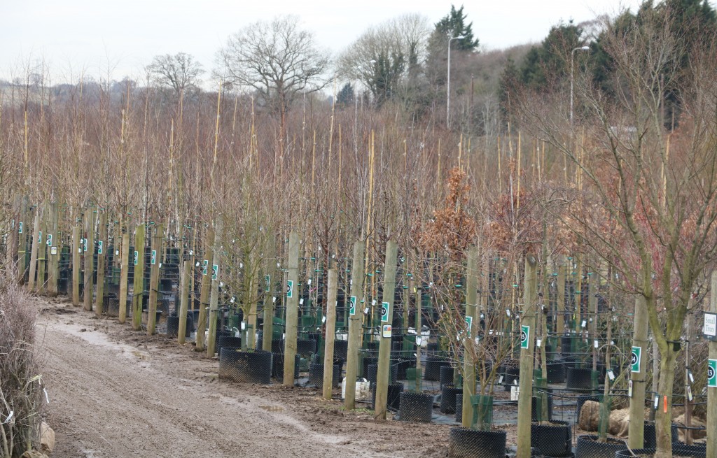 Jamie Butterworth - Development Day At Majestic Trees