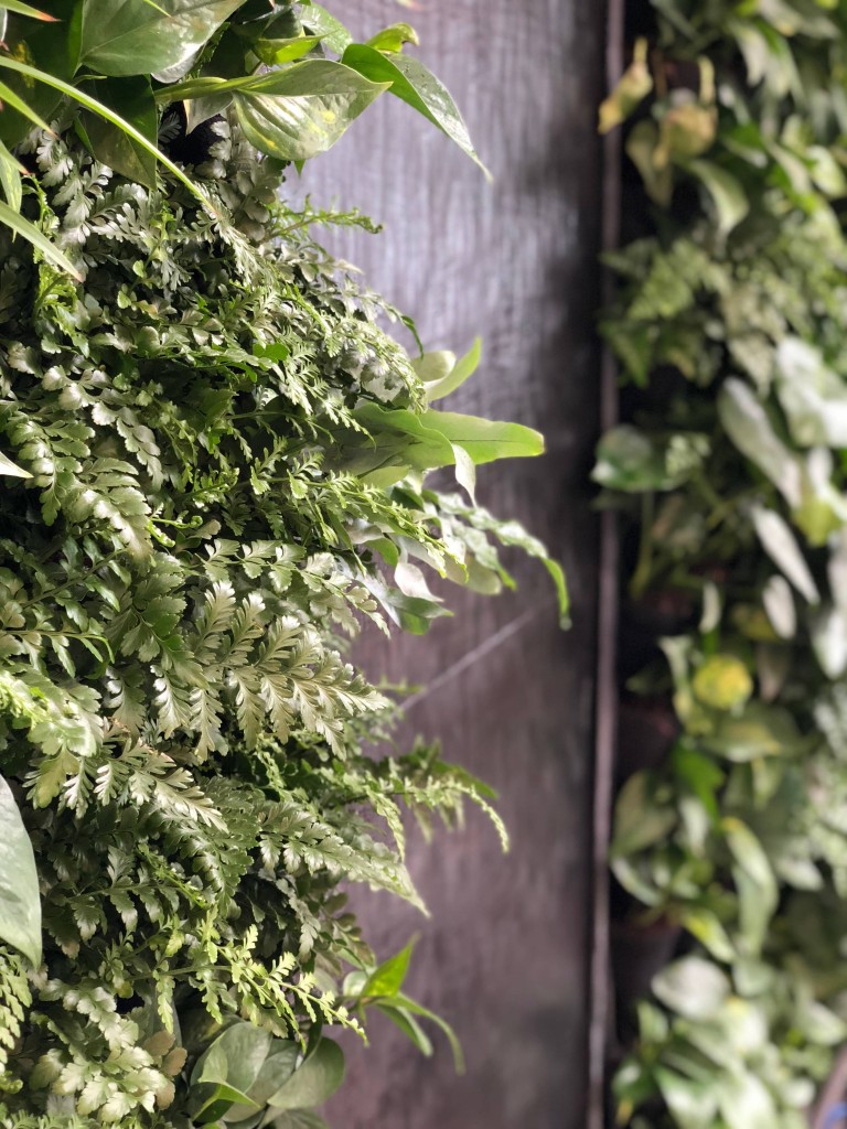 Scotscape Green Living Wall at the North London Showroom, with water feature